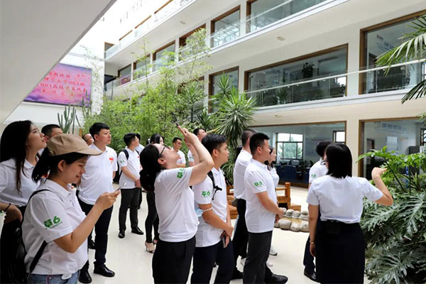 参观生态办公区 参观生态办公区