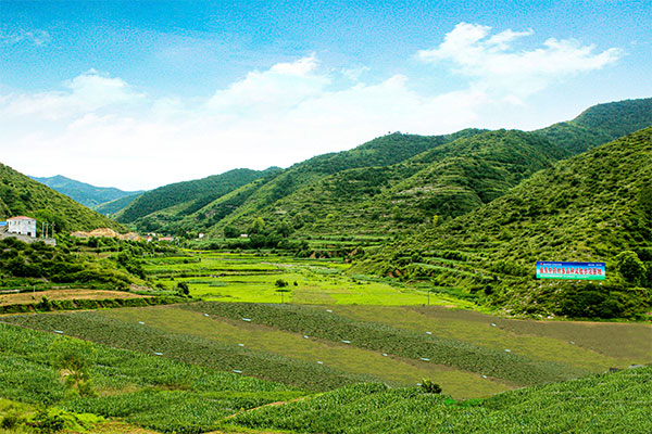 抗肿瘤原料药中试基地 抗肿瘤原料药中试基地