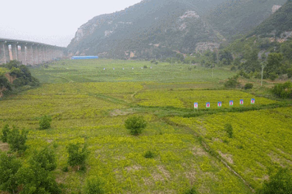 恒峰g22,恒峰g22路地药材 恒峰g22,恒峰g22路地药材