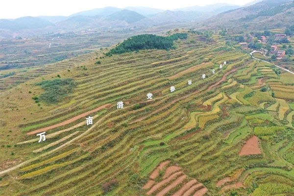 恒峰g22中药材种植基地 恒峰g22中药材种植基地