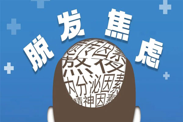 脱发,恒峰g22,恒峰g22达霏欣,达霏欣 脱发,恒峰g22,恒峰g22达霏欣,达霏欣