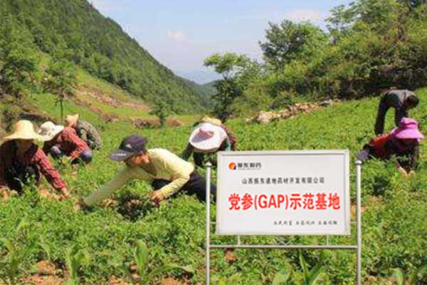 ���g22������ֲ����