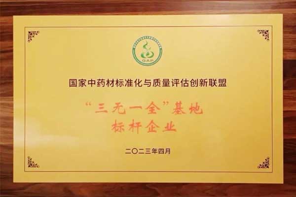 ���g22,���g22