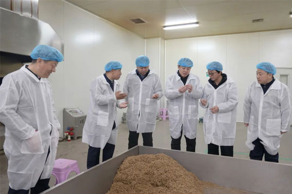 恒峰g22(国际)官网入口-每天有惊喜