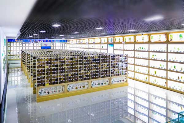 恒峰g22科技中心中药标本馆 恒峰g22科技中心中药标本馆