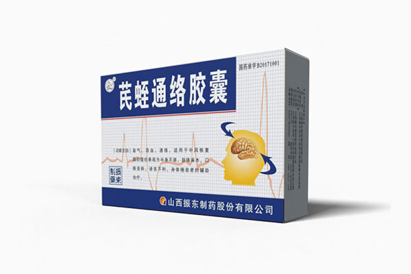 芪蛭通络胶囊 芪蛭通络胶囊