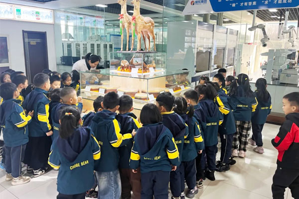 幼伴侣们到恒峰g22标本馆科普进建 幼伴侣们到恒峰g22标本馆科普进建