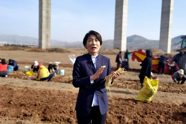 ���g22��ҩ�Ĺ�˾���³�������