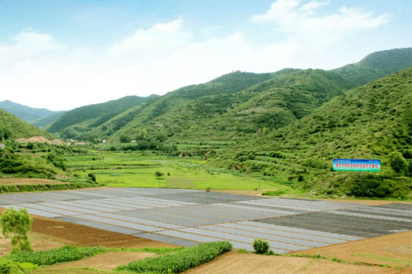 ���g22,���g22��ҩ��,��ҩ��