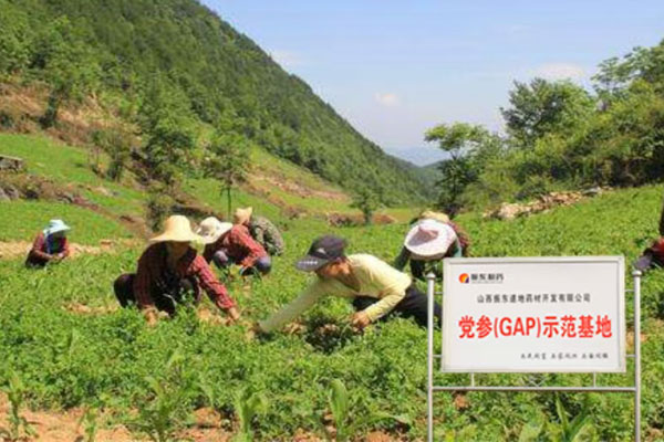 ���g22,���g22��ҩ��,��ҩ��