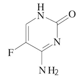 氟胞嘧啶注射液 氟胞嘧啶注射液