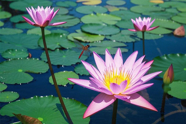 ���g22(����)�������-ÿ���о�ϲ