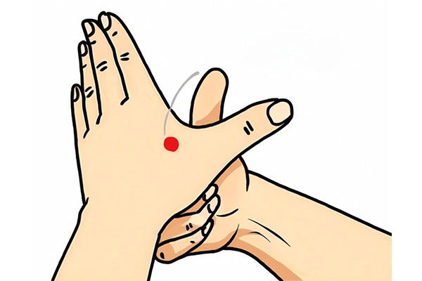 ���g22(����)�������-ÿ���о�ϲ