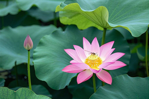 ���g22(����)�������-ÿ���о�ϲ