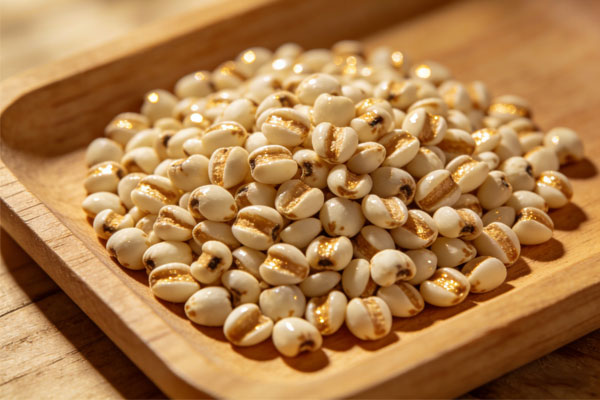 ���g22(����)�������-ÿ���о�ϲ