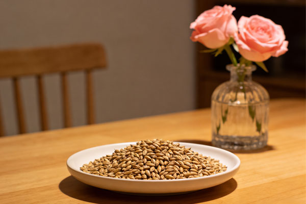 ��ѿ,ҩʳͬԴ,��Ƣ��ʳ,��κ�θ,��ѿʳ��